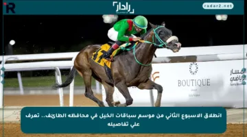 انطلاق الأسبوع الثاني من موسم سباقات الخيل في محافظة الطائف.. تعرف على تفاصيله